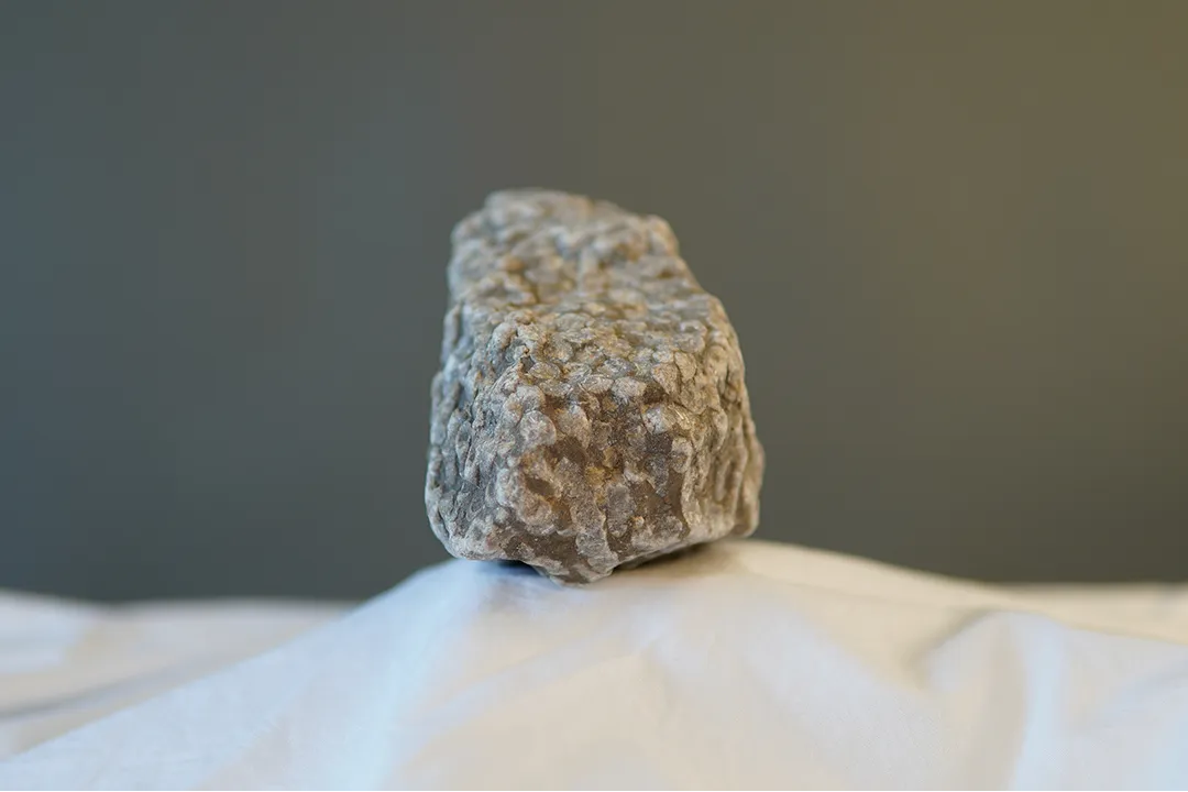 Coral Fossil 002 - Image 4